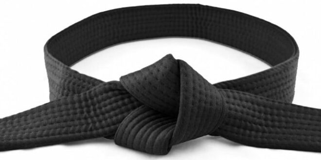 In the Martial Arts field not Every Black Belt holder is Trainer